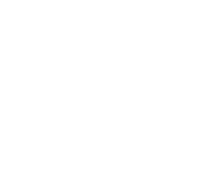 Automotive Hub